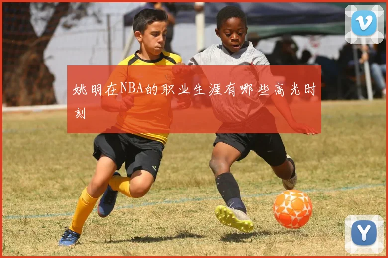 姚明在NBA的职业生涯有哪些高光时刻