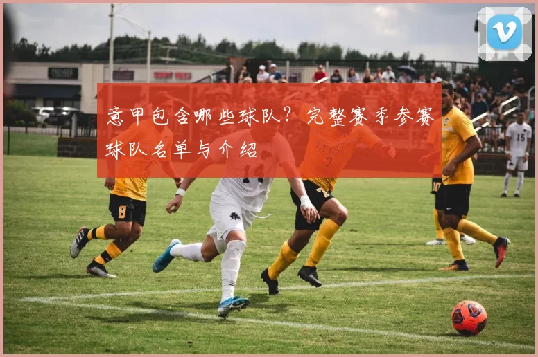 意甲包含哪些球队？完整赛季参赛球队名单与介绍